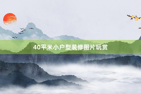 40平米小户型装修图片玩赏